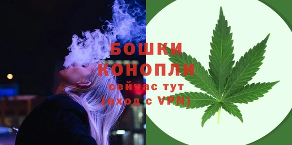 стаф Богданович